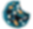 Cookie Monster Cookie