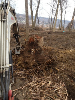 Land Clearing/Stump Removal