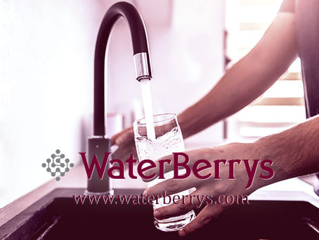 RO Drinking Water Purifier