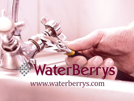 How a Central Water Filter Protects Your Plumbing and Appliances