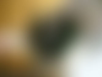 すべてのはじまり