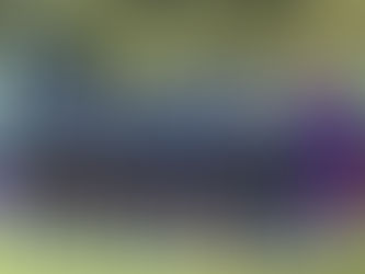 INTER PLAYA DEL CARMEN CAE EN SU VISITA A LOS CHAPULINEROS DE OAXACA