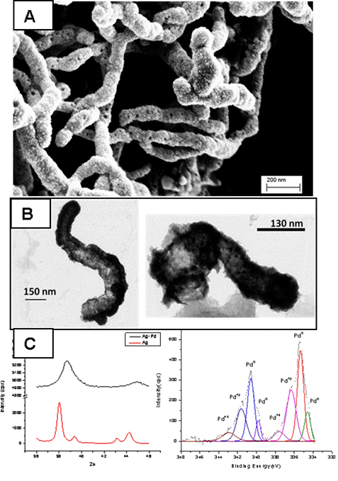 Conductive Palladium nanostructures on paper