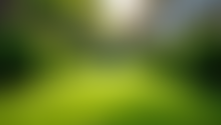 Seasonal Maintenance Essentials: Your Ultimate Guide