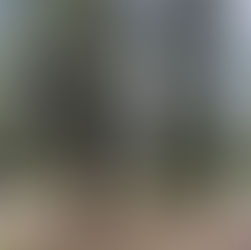 Kerkeslin Campground, Jasper AB