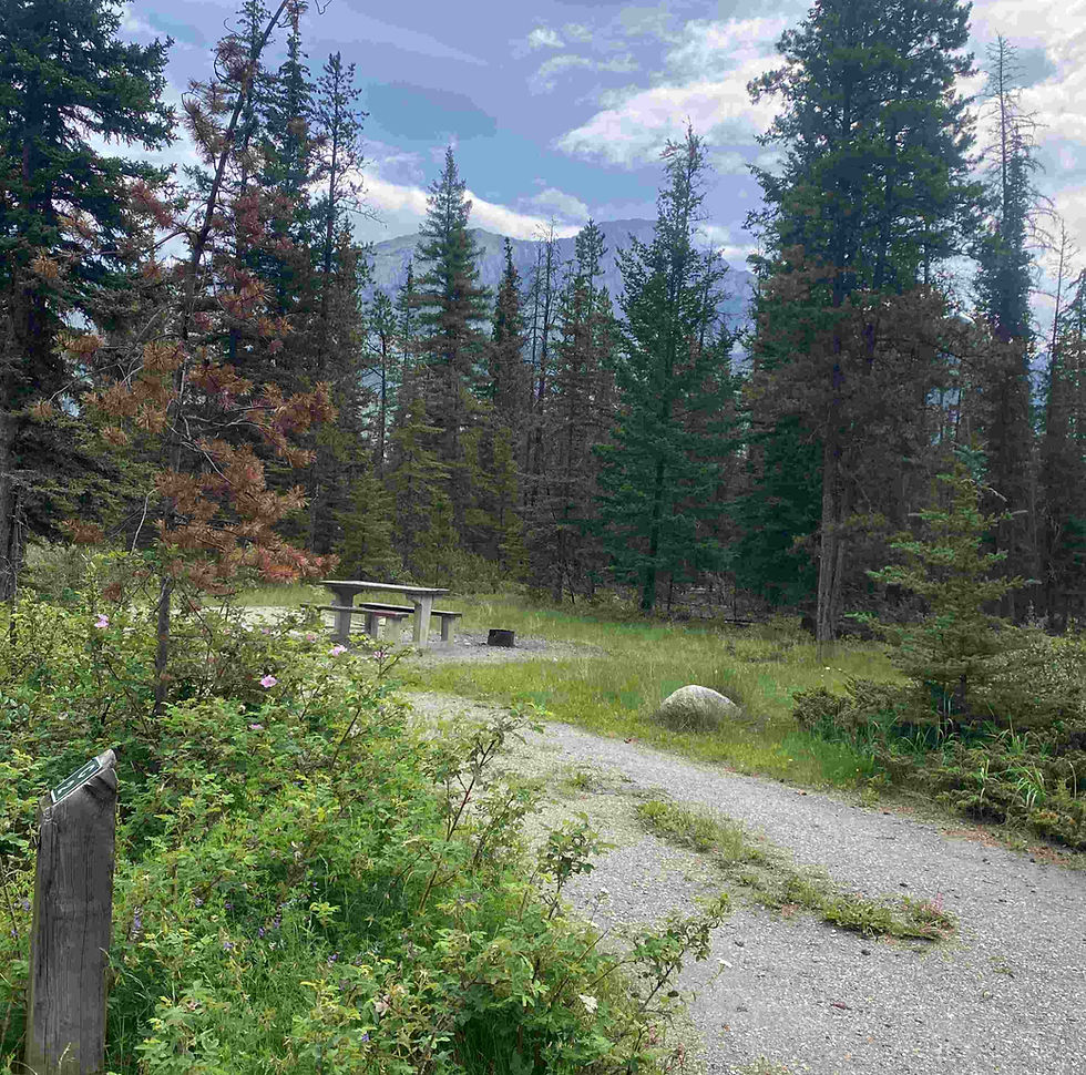 Snaring Campground, campsite in Jasper National Park