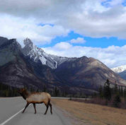 Jasper National Park Itinerary - 3 Days in Jasper