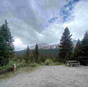 Wilcox Creek Campground, Campsite