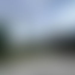 Wilcox Creek Campground, Campsite