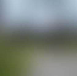 A Campsite in Jonas Creek Campground