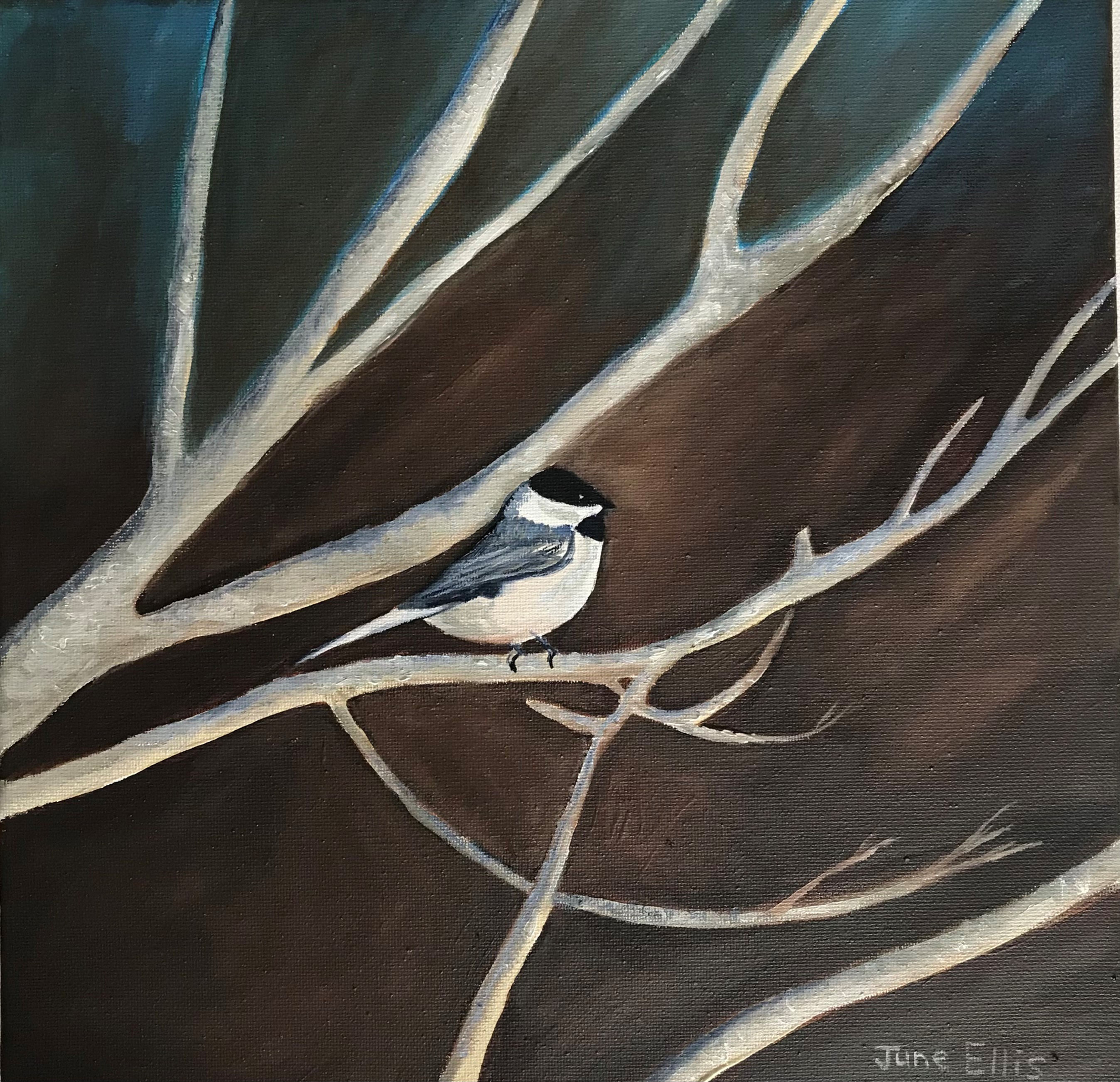 An original 12 x 12 inches oil painting 12x12  of a little bird nestled in the branches by June Ellis  PEI Artist