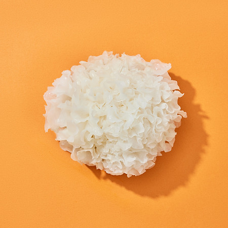 2. White Fungus.jpg