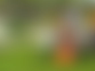 Family Hotel Marketing: Aumentare le prenotazioni con un Playground