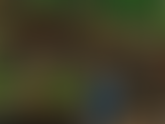 Planting A Sermon Illustration Upside Down