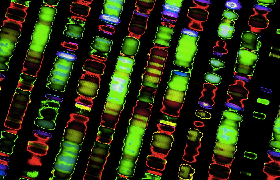 Reading DNA by Color of Base