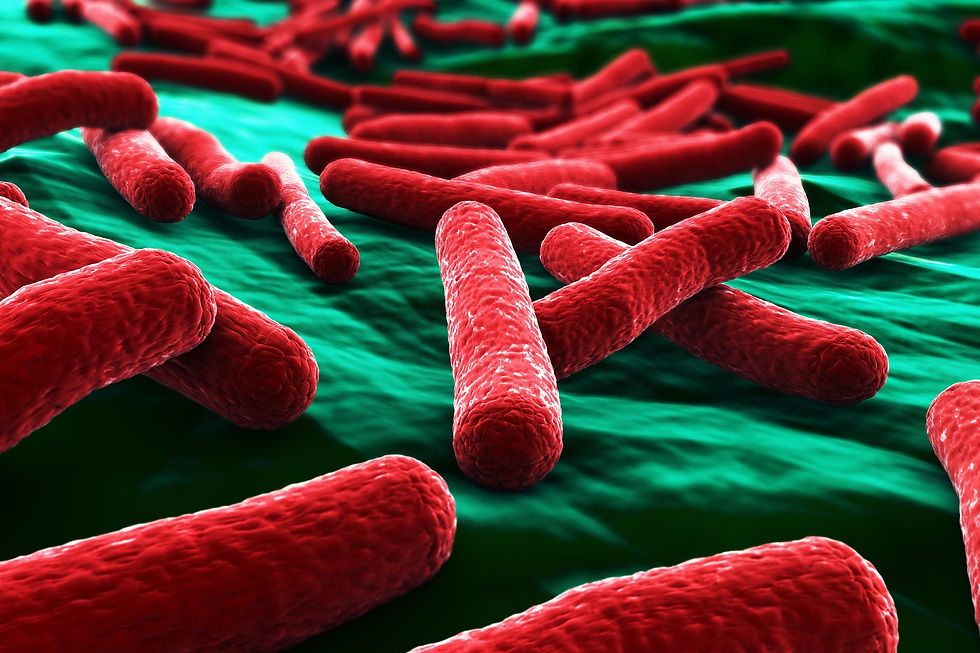 E.Coli