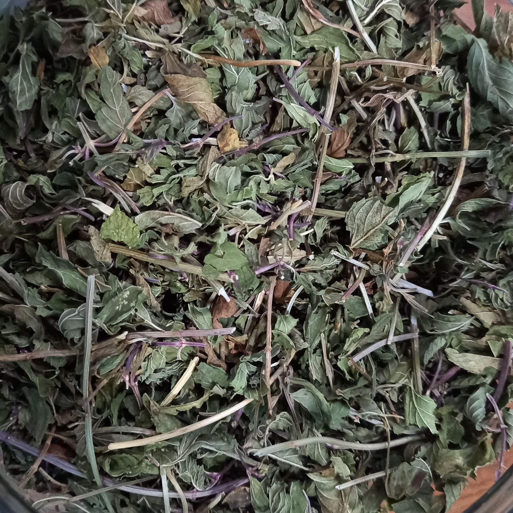 Hortelã-Pimenta