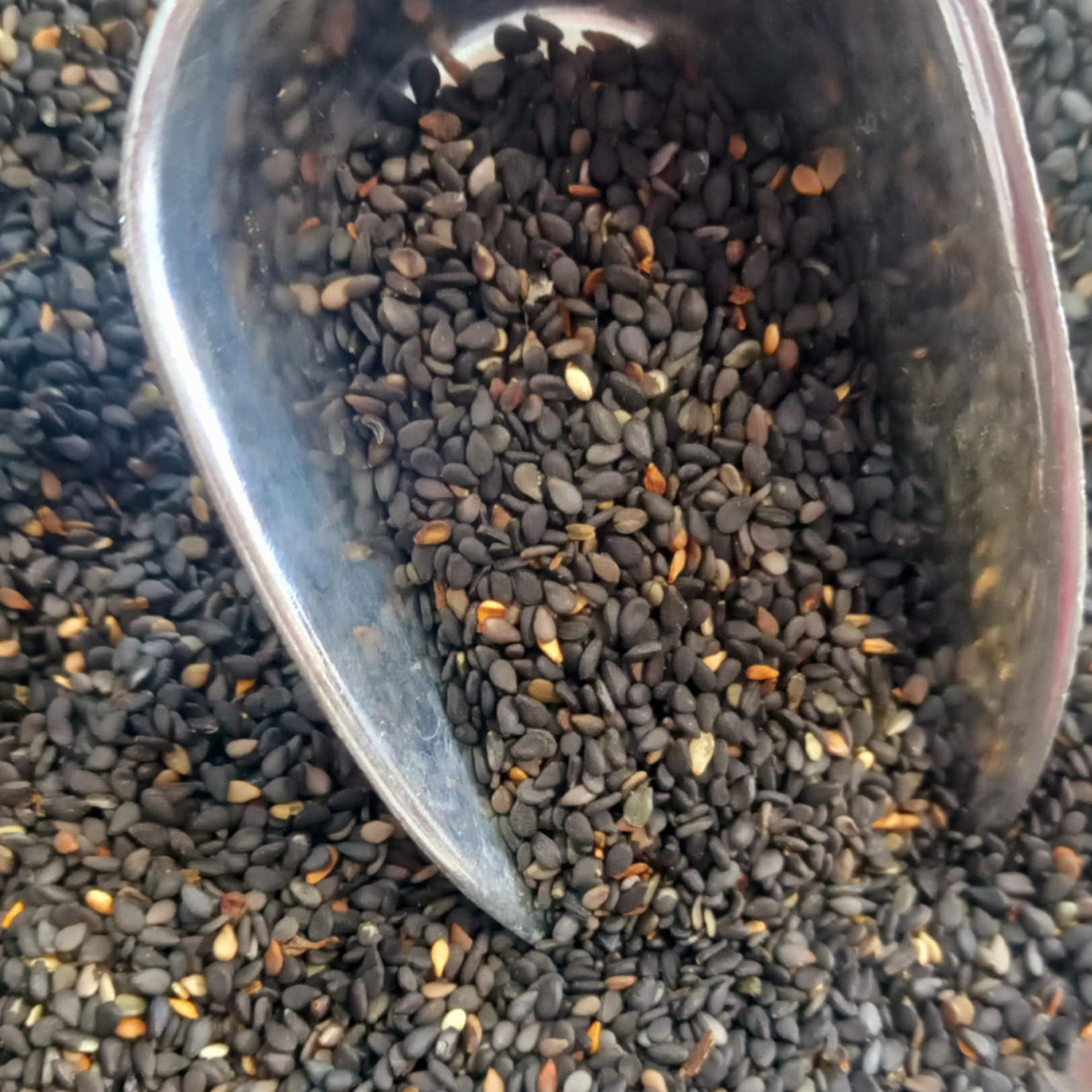 Sementes Sésamo Negro