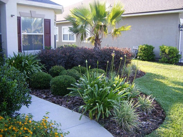 Well-maintained garden with palm tree, shrubs, and flowers beside a house. Concrete path curves through the lush greenery under a clear sky.