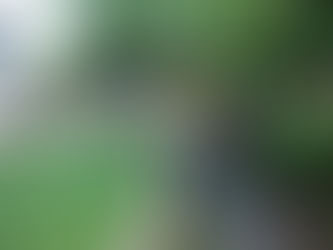 Sustainable turf with path