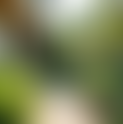 Spring into Savings with Sustainable Landscapes!