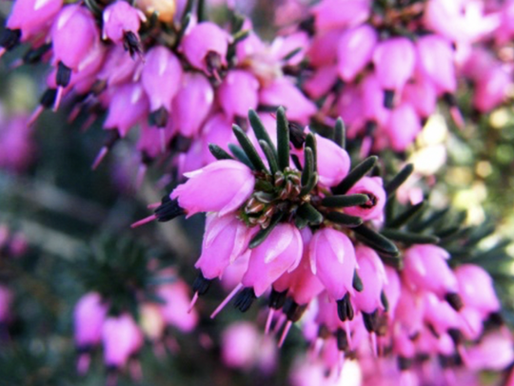 Spring Roundup at Alpha Omega