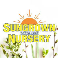 Sungrown Seedlings Nursery Logo