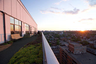 Rooftop garden Toronto sunset