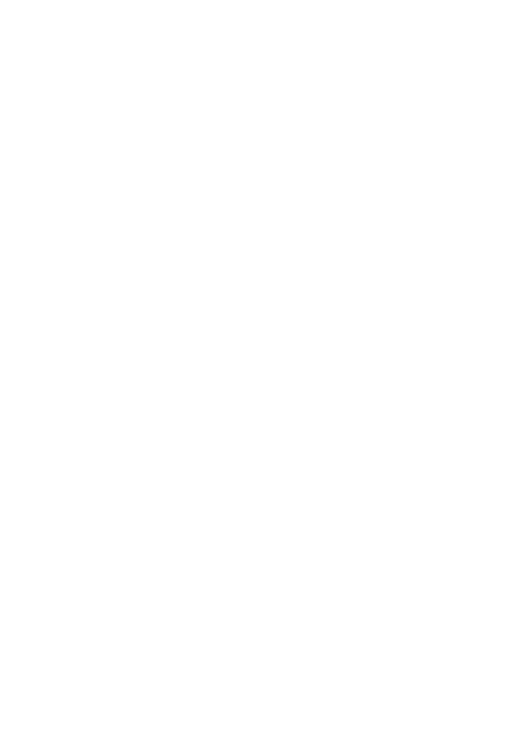 Rapid Reimage Renovation logo