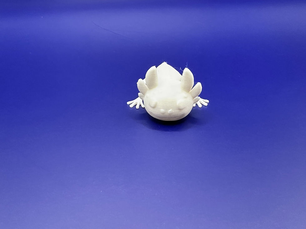 Thumbnail: Nodding Axolotl