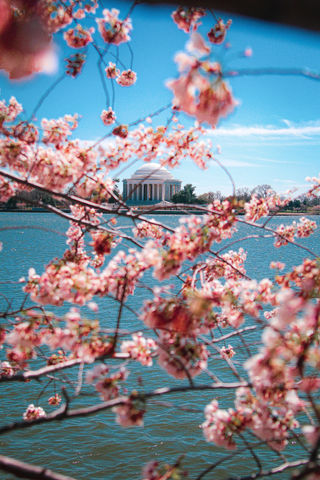 Washington DC