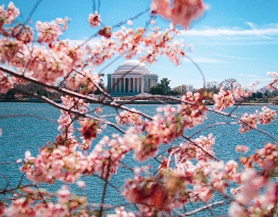 4caa52140640779.6478a6e2d2461