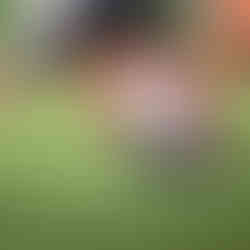 Fotografía de futlbol