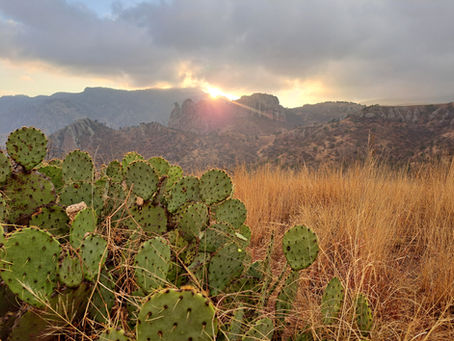 We Are Open — Visit Maderas del Carmen