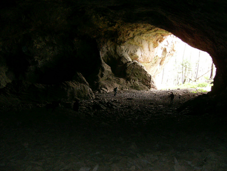 Native Cultures of Maderas del Carmen