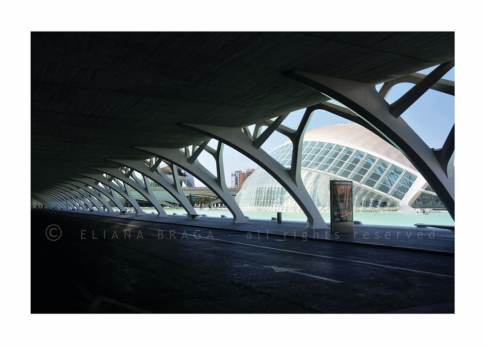 DSC_8759# VALENCIA
