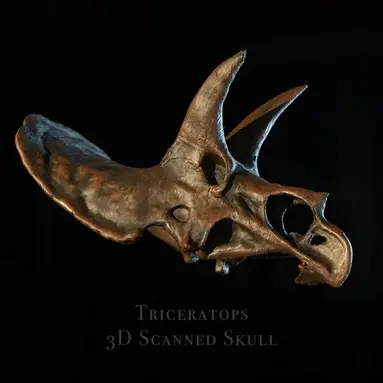 Impression 3D