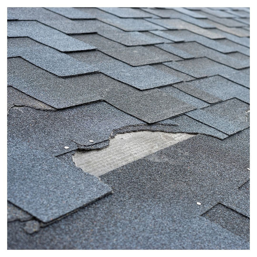 damaged shingles