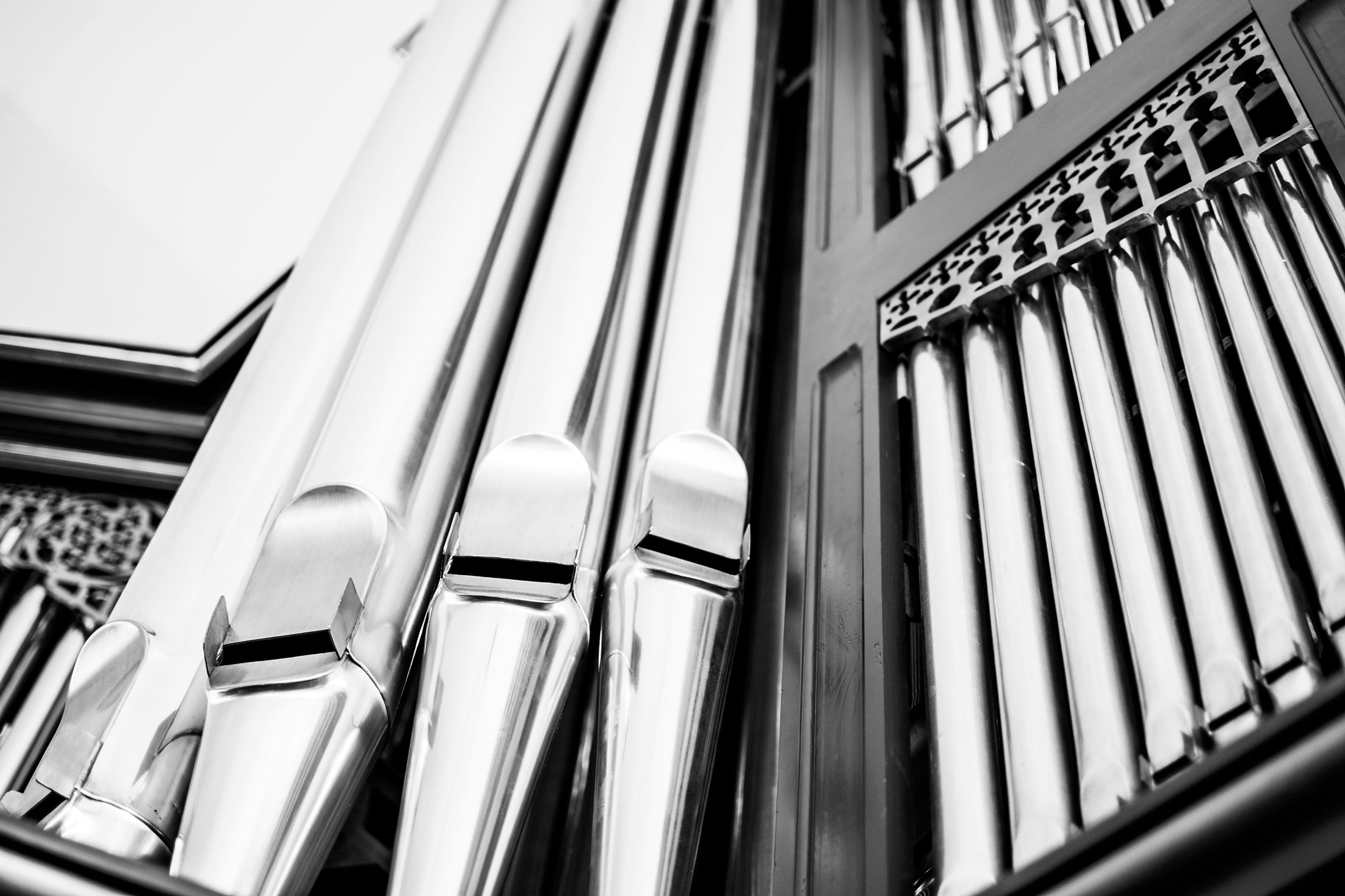 AdobeStock_295378066.jpeg
