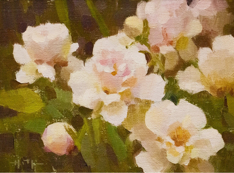 Petals and Light 6x8 $500
