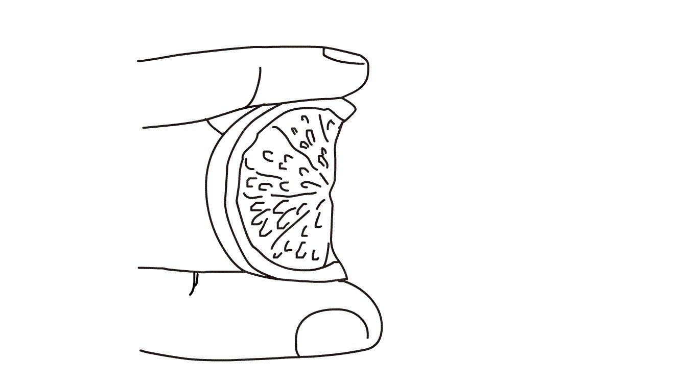 pincher挤柠檬.gif