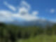 IMG-1390.jpg