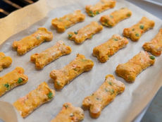 Homemade chicken pot pie dog treats on a baking sheet coming out of the oven.