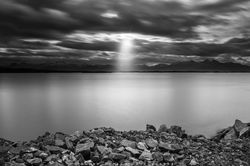 The light