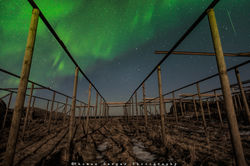 Lofoten