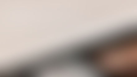 Sunshield Twinwall Dealers Promo