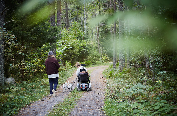 People walking in forest