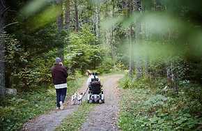 Enjoying the Woods
