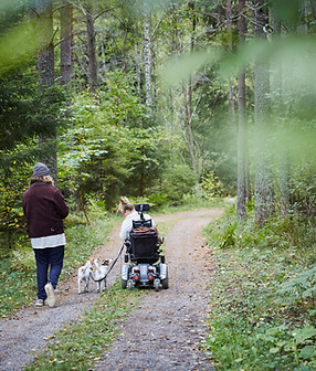 People walking in forest