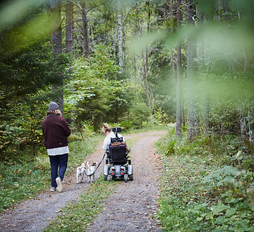 People walking in forest